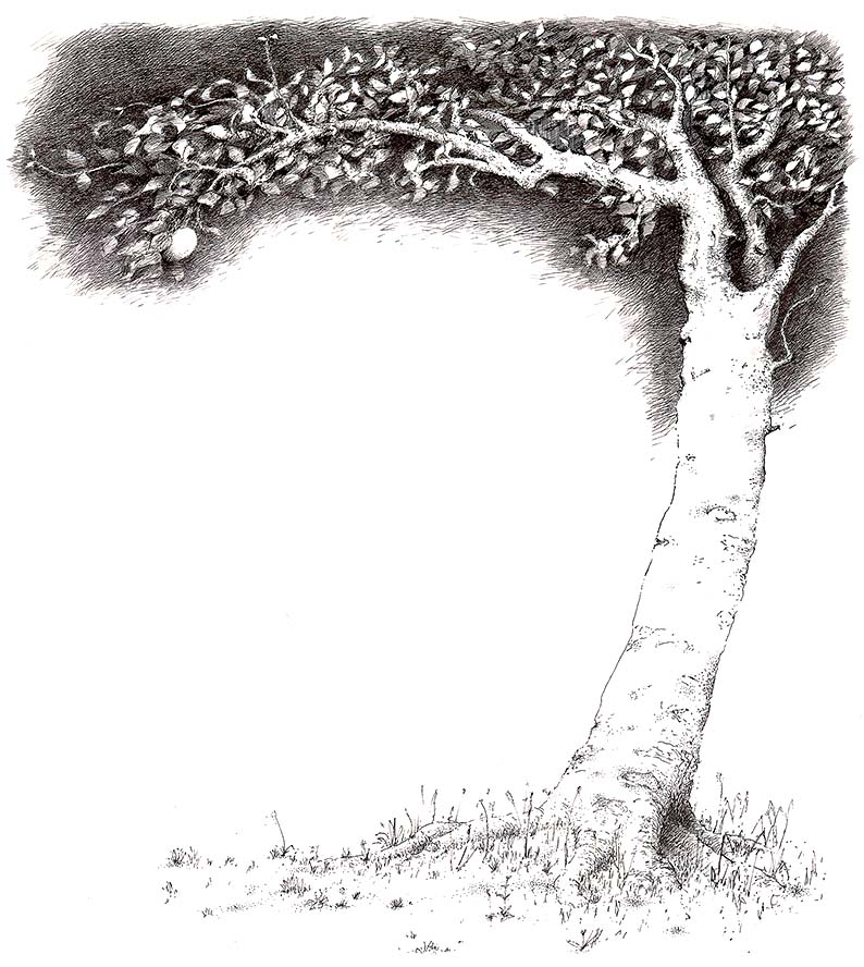 Collins Publishing - illustration for William Blake's poem 'The Poison Tree'
